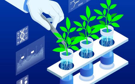 Plant Biotechnology and Genetic Modification