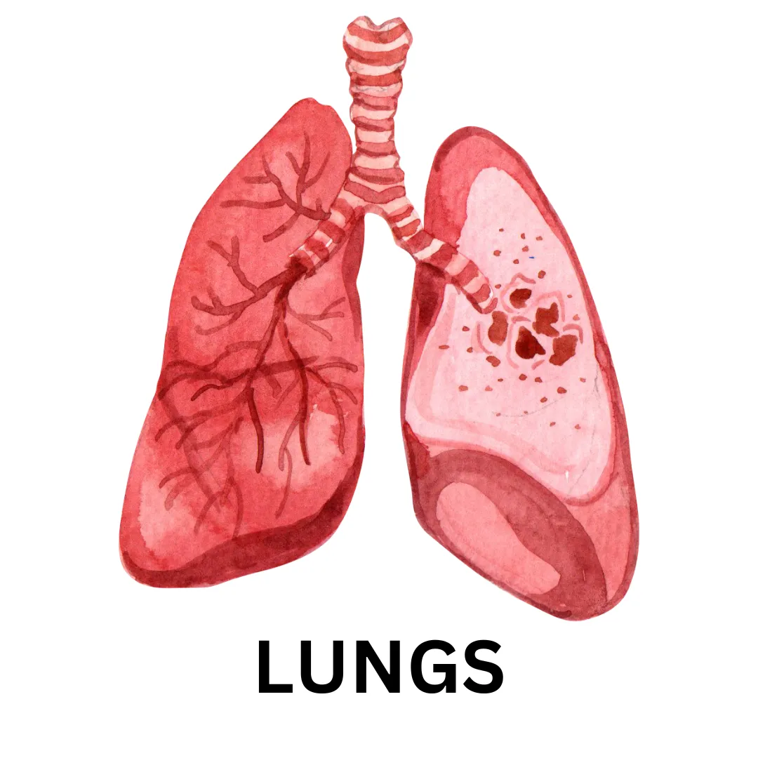 Asthma Management of the Patient in the Home Care setting