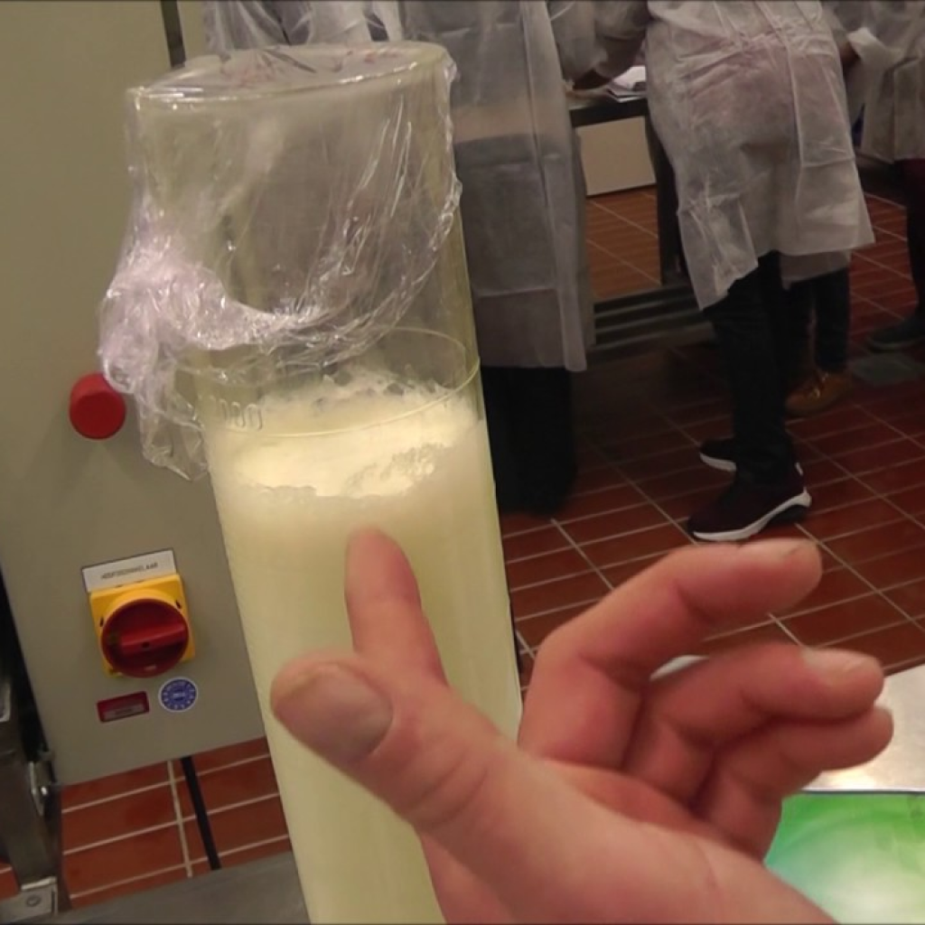 Virtual Lab - Homogenization: Enhancing Milk Flavor