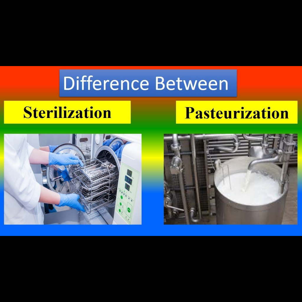 Virtual Lab: Pasteurization and Sterilization Techniques