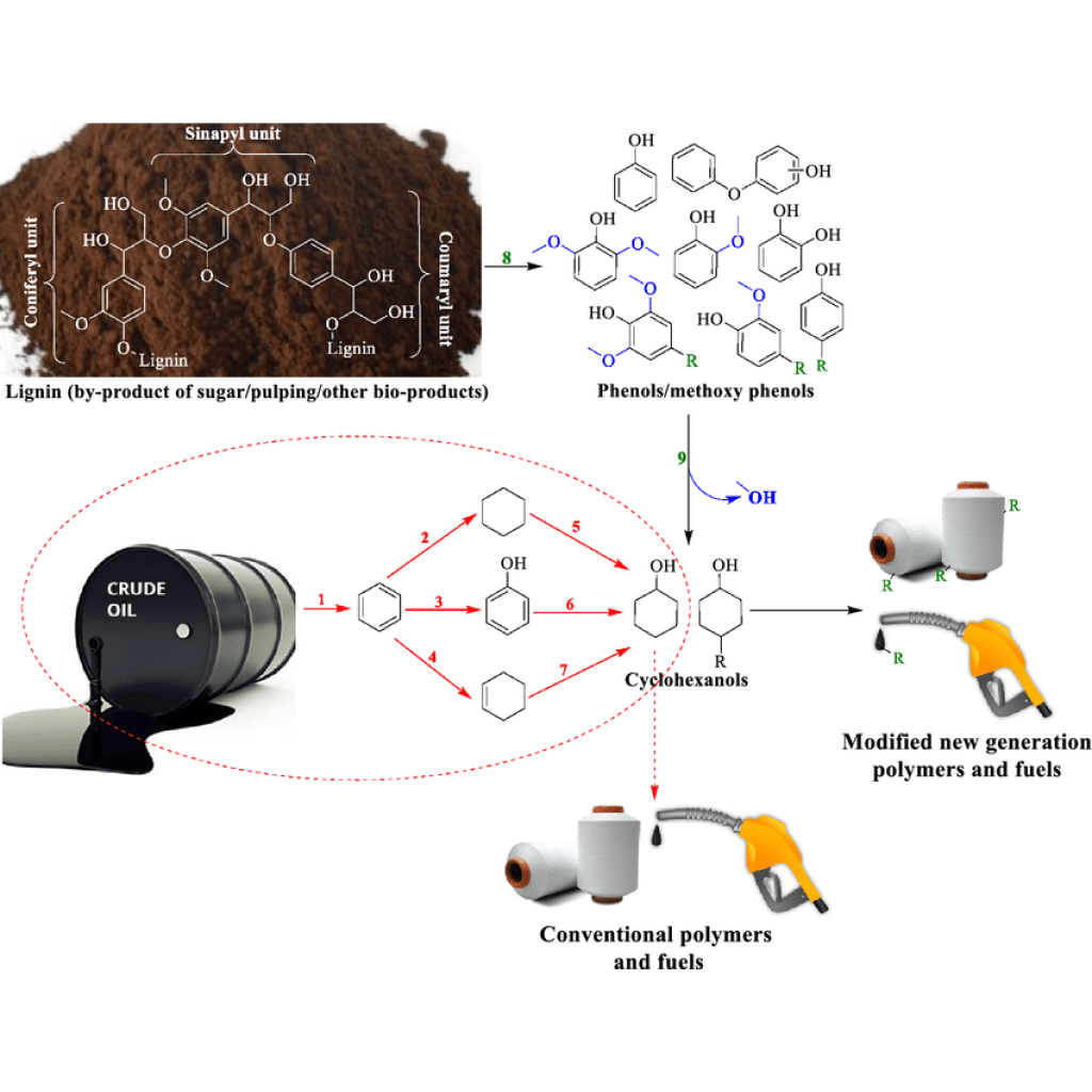 Virtual Lab: Creating Polymers from Cyclohexanol through Elimination Reactions