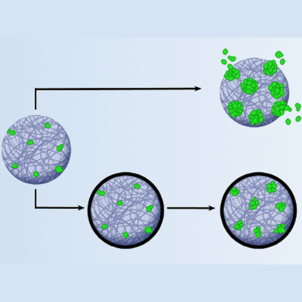 Virtual Lab: Investigate Decontamination and Selective Toxicity in Microbial Growth Control