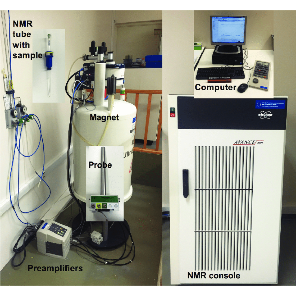 Virtual Lab on Carbon NMR: Identifying the Unknown Compound