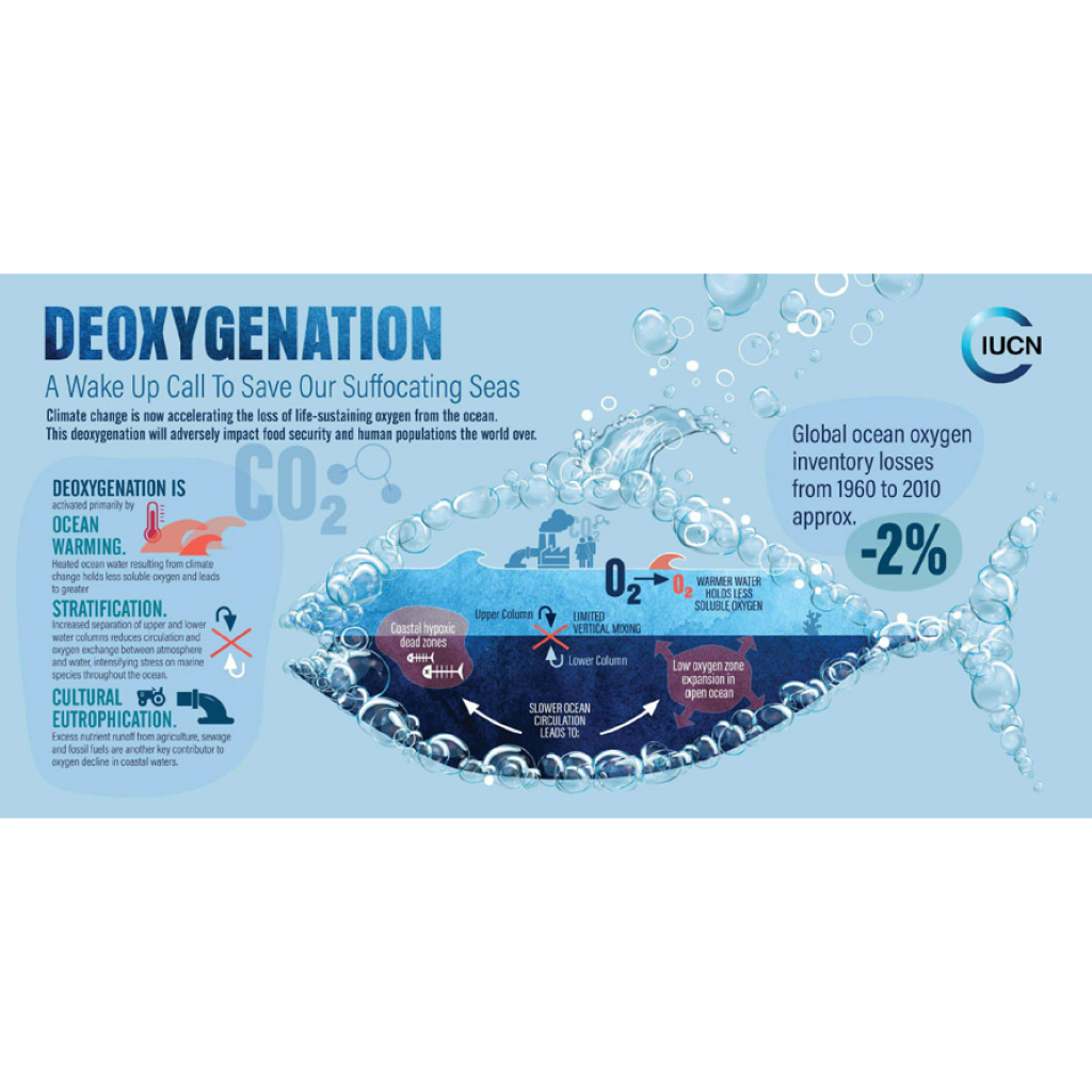 Virtual Lab: Investigating the Impact of Temperature on Oxygen Levels in Marine Environments