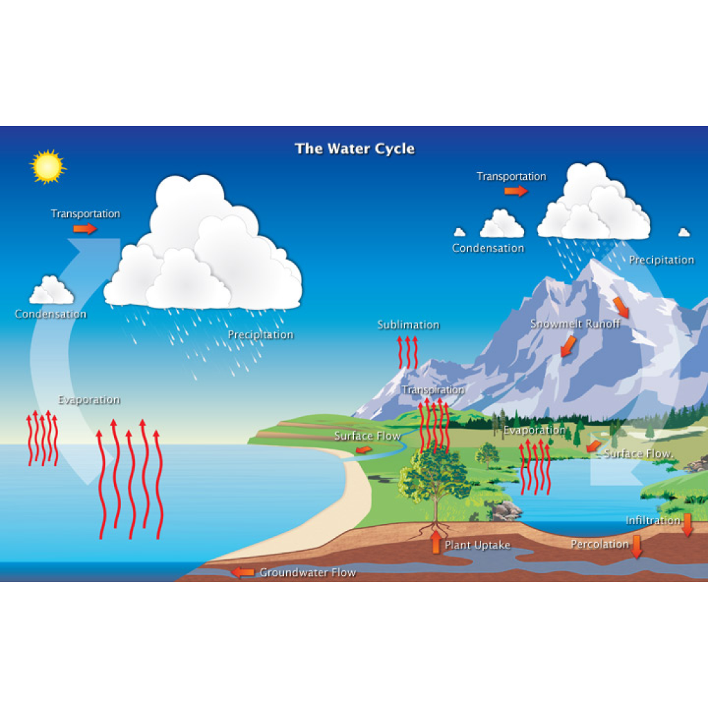 Virtual Lab: Exploring the Fundamental Concepts of the Water Cycle