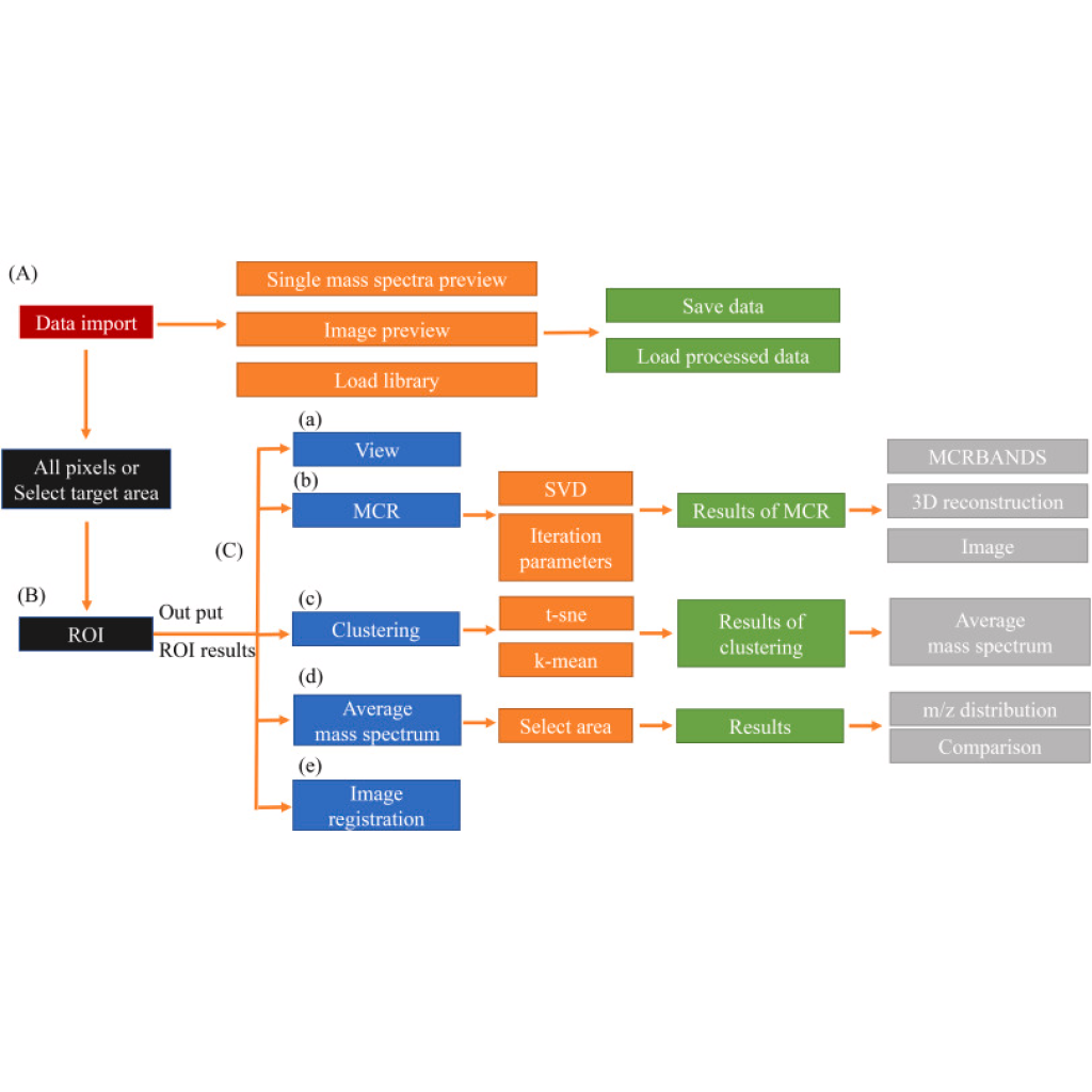 Virtual Lab on Mass Spectrometry: Racing the Fastest Fragment