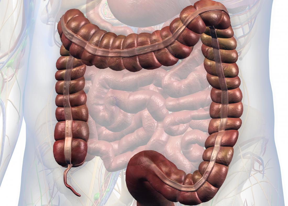 Assessment Related to Appendicitis