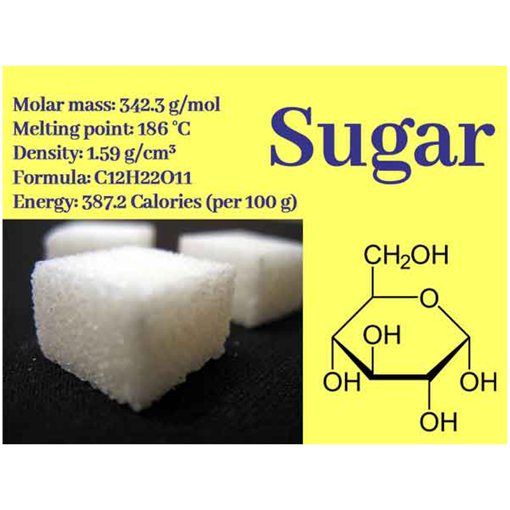 Virtual Lab: Carbohydrates - The Sugars Nourishing Our Bodies