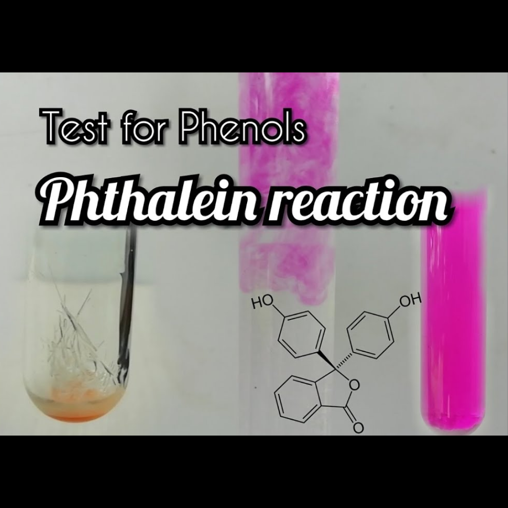 Virtual Lab: Phenols Detection Using the Phthalein-Dye Test