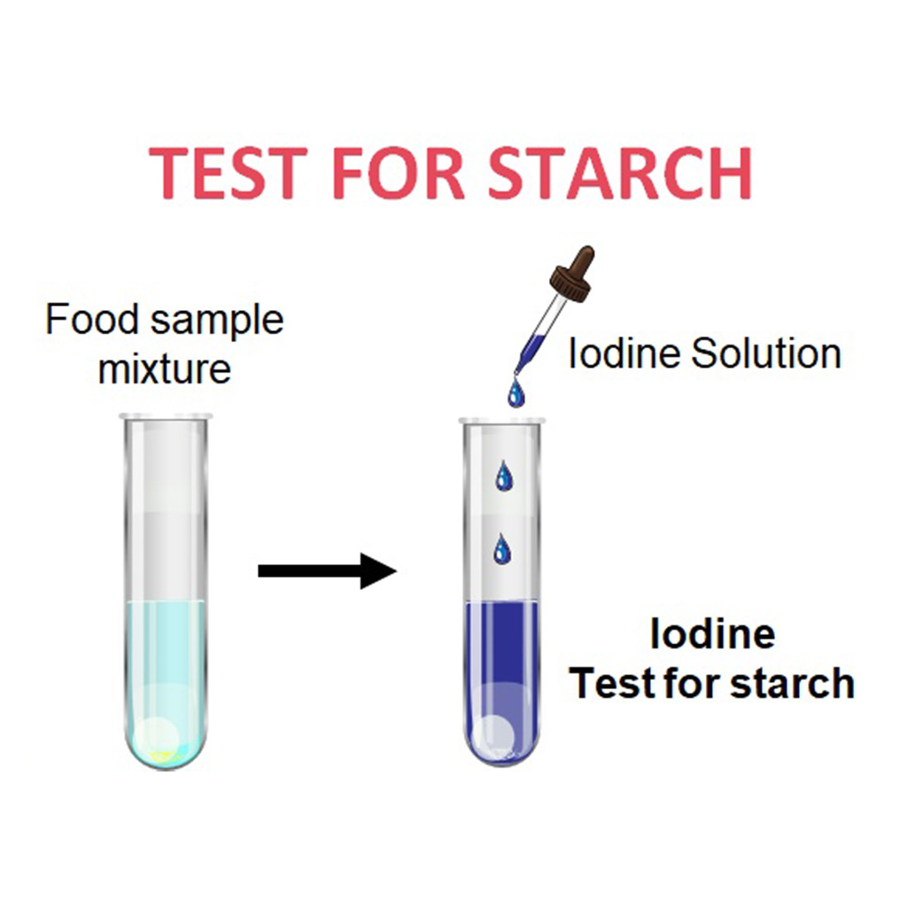 Virtual Lab: Iodine Test for Complex Carbohydrates