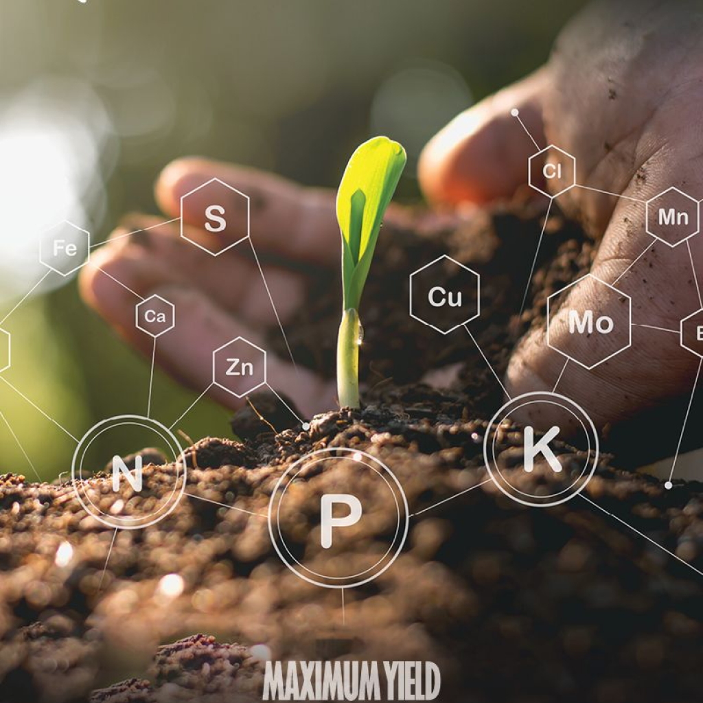 Ecosystem Dynamics: Analyze the Influence of Fertilizers on the Phosphorus Cycle in a Virtual Laboratory