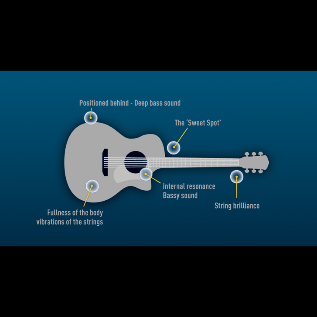 Virtual Lab on Sound Propagation: Assisting a Rock Star in Tuning Their Guitar!