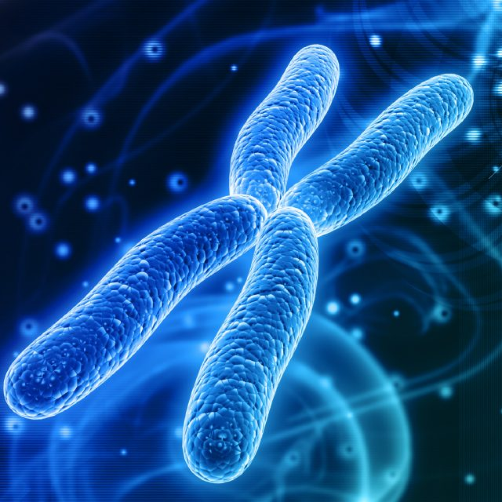 Virtual Lab - Prenatal Diagnosis through Cytogenetics