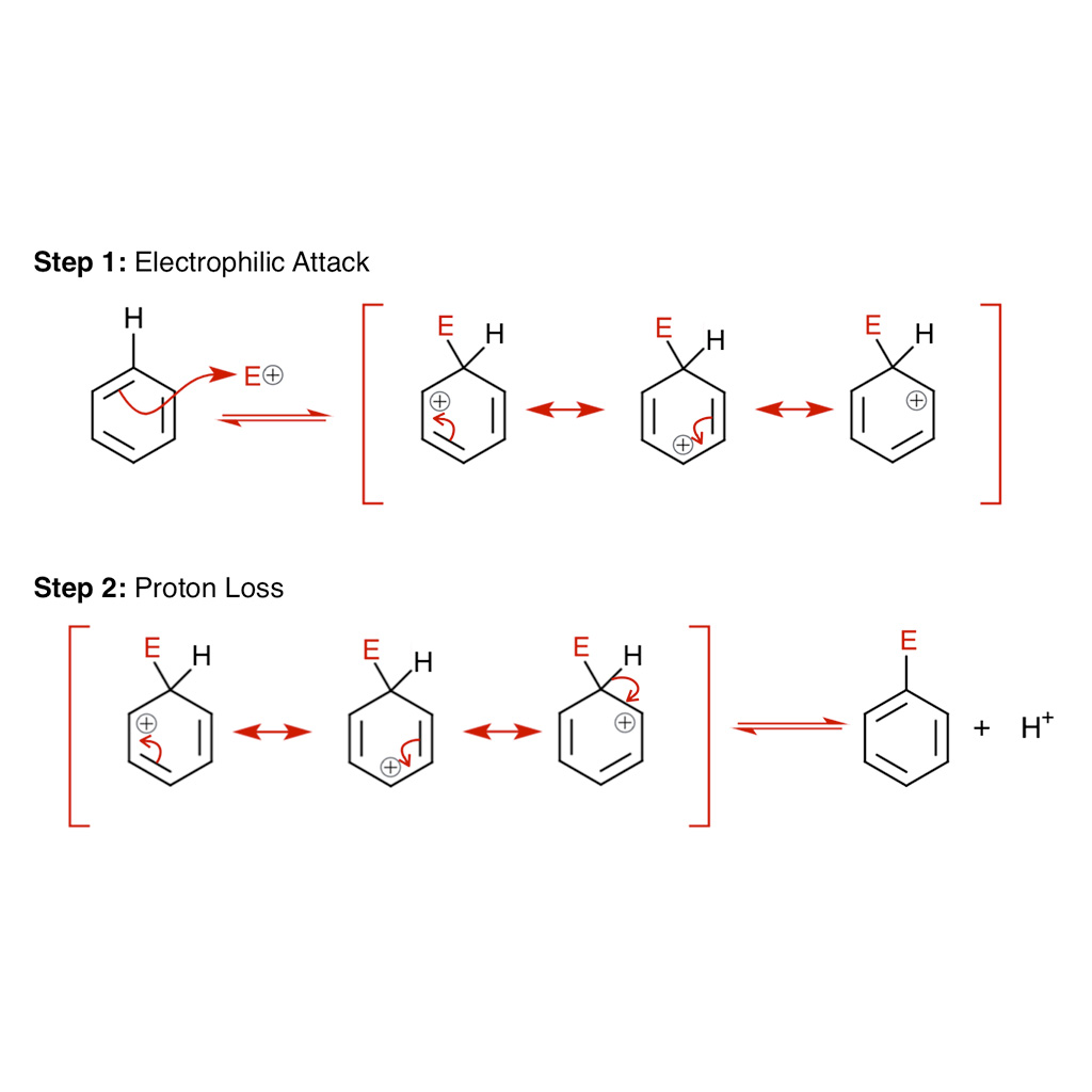 Virtual Lab: Exploring Mechanisms and Resonances in Electrophilic Aromatic Substitution