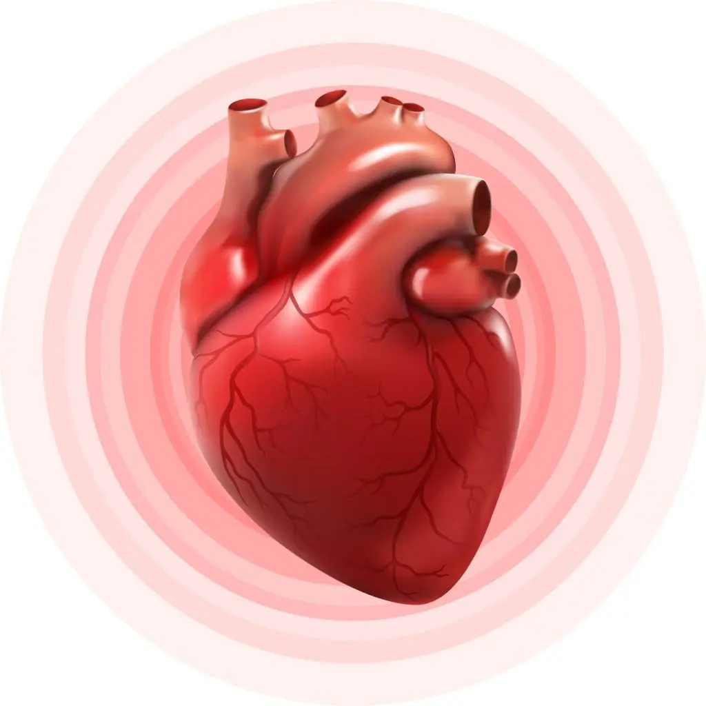 Chronic Heart Failure Exacerbation