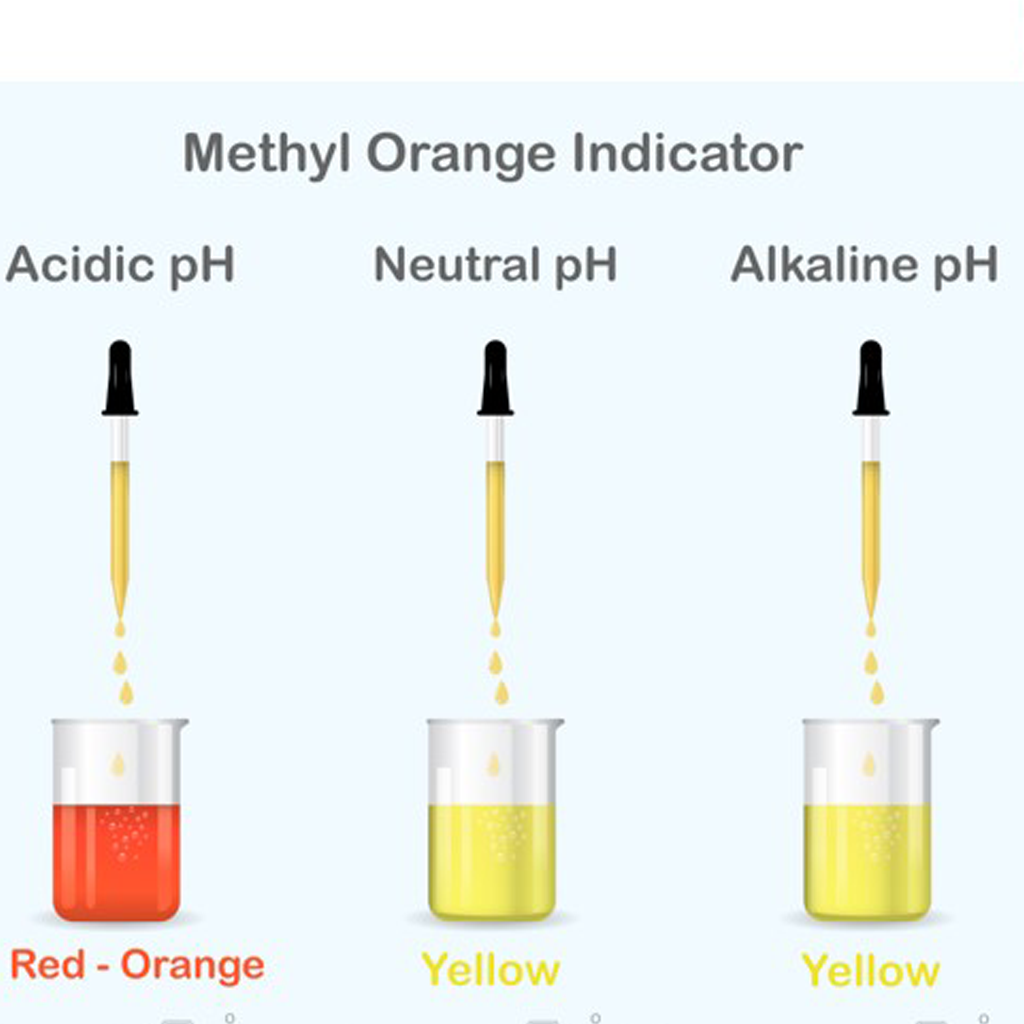 Virtual Lab: Exploring Acidity and Alkalinity in Common Substances with Acids and Bases