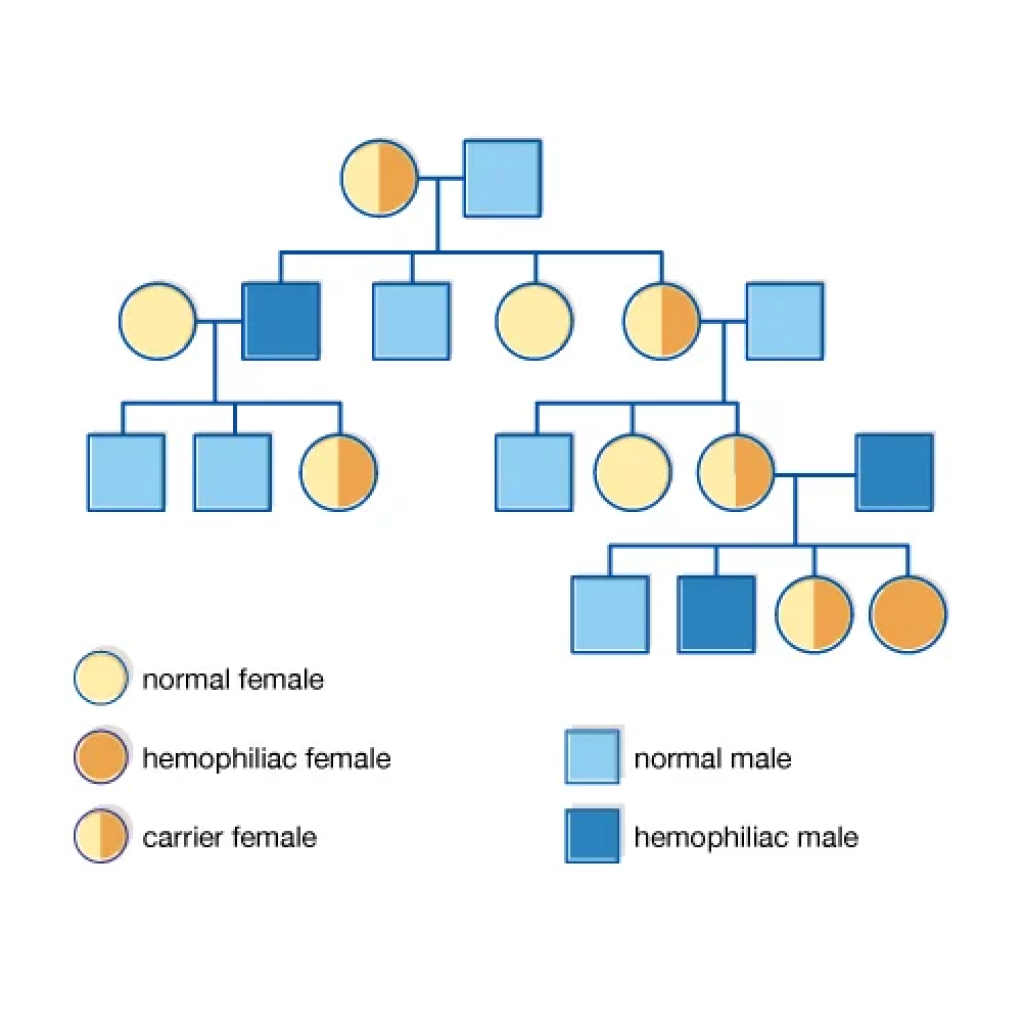 Virtual Lab: Analyzing Gene Linkage and Pedigrees