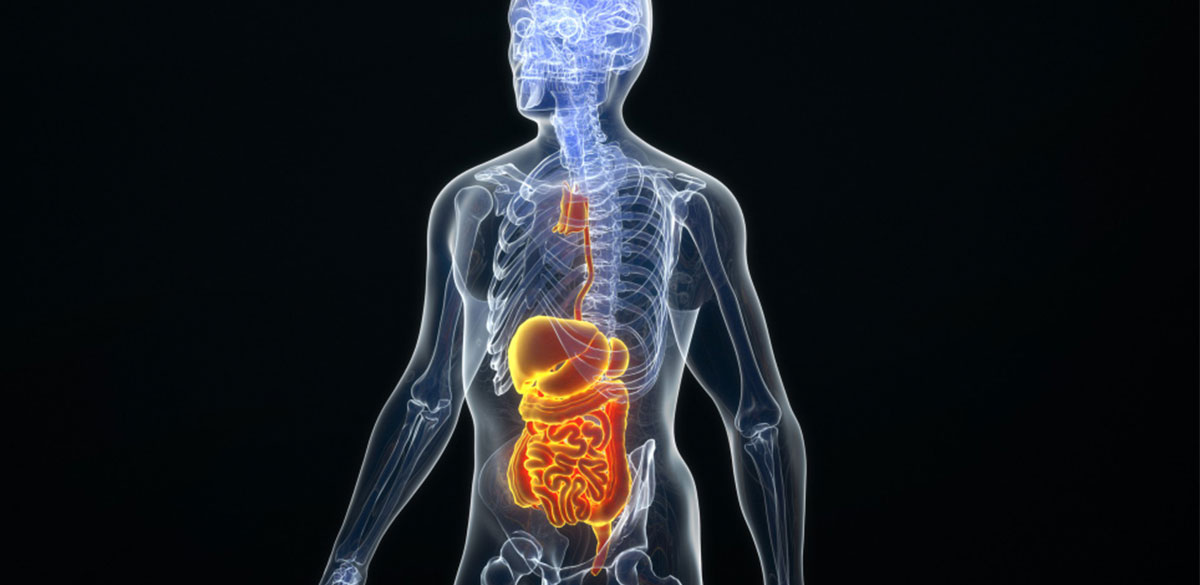 Abdominal System Assessment