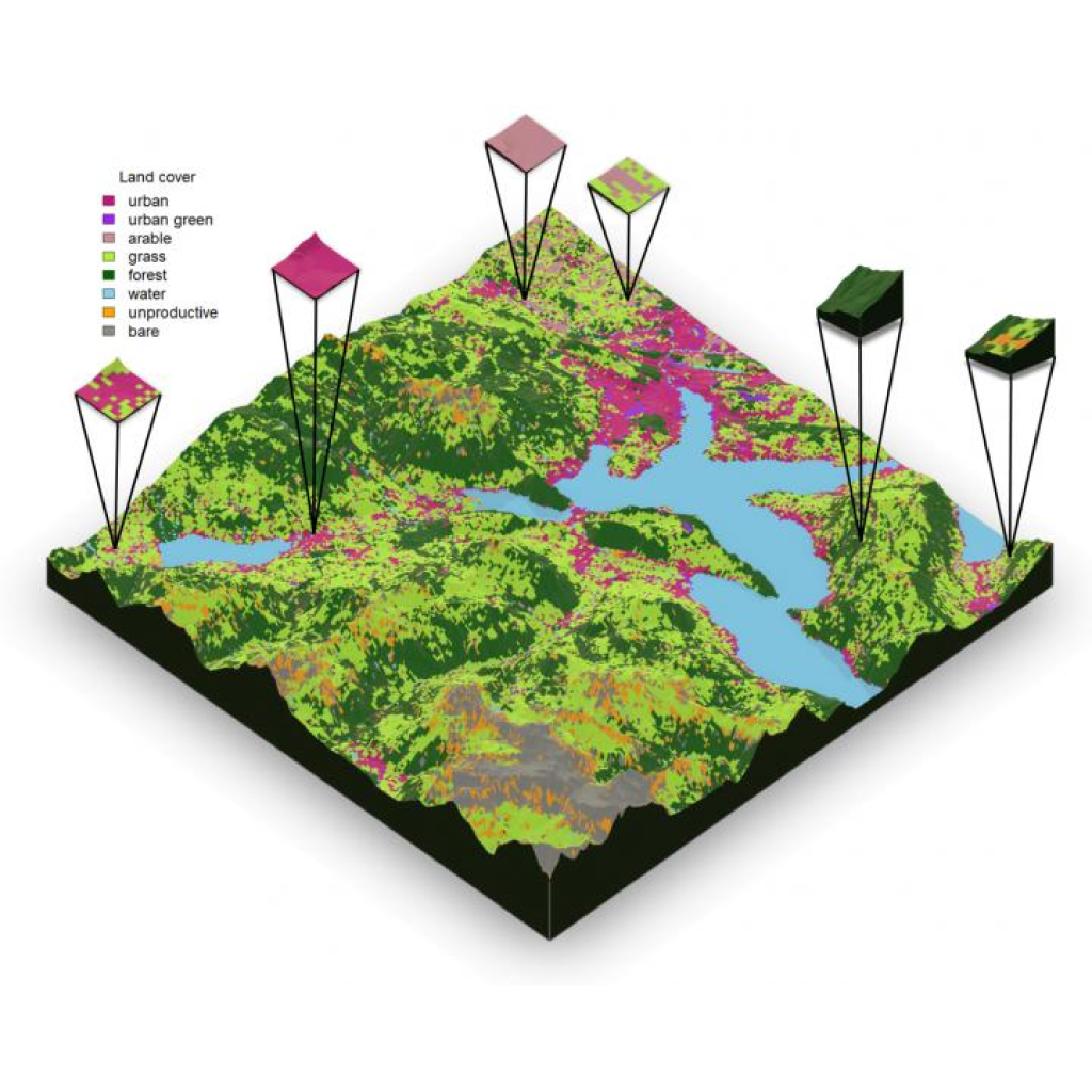 Landscape Ecology Exploration: Assessing Persistence in a Spatially Diverse Environment through a Virtual Laboratory