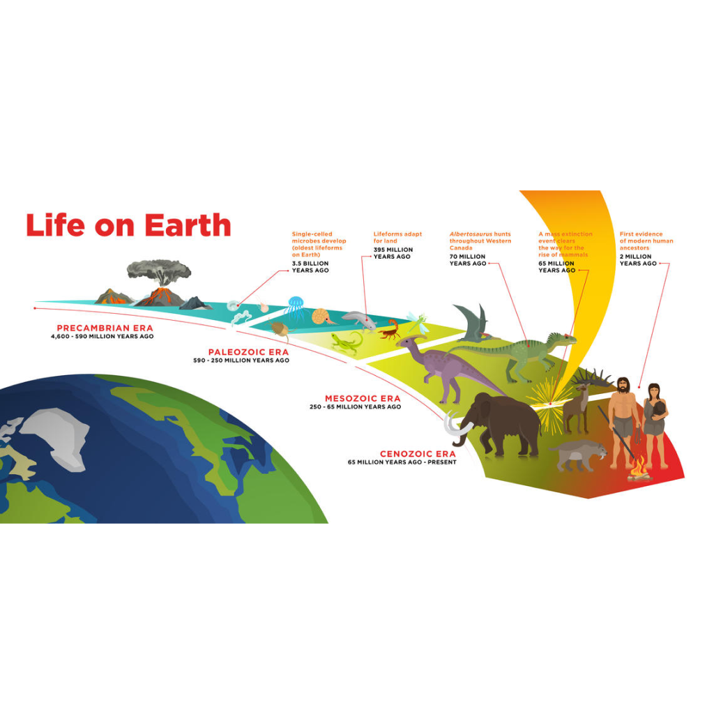 Exploring Foundational Theories and Principles of Evolution in a Virtual Lab