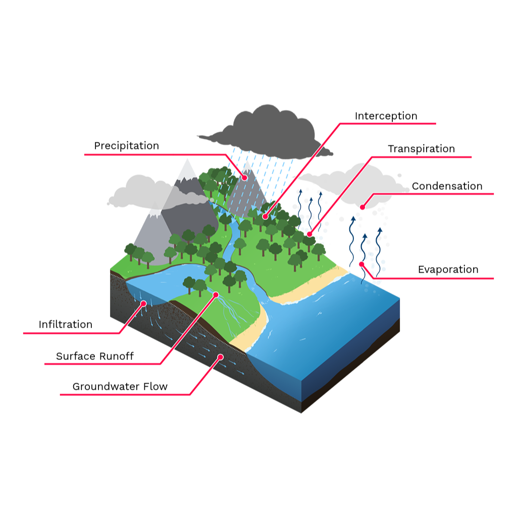 Virtual Lab - Human Influence on the Water Cycle