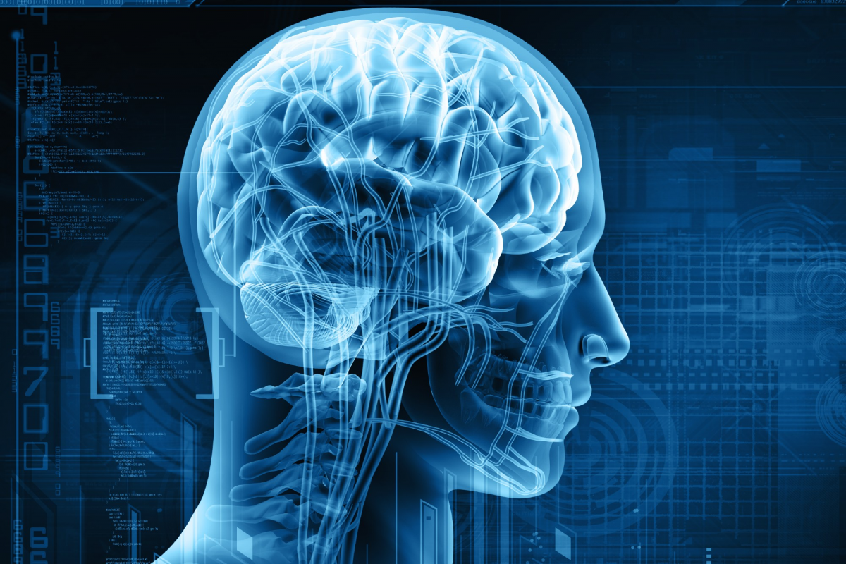 Neurological-Sensory Motor System Assessment