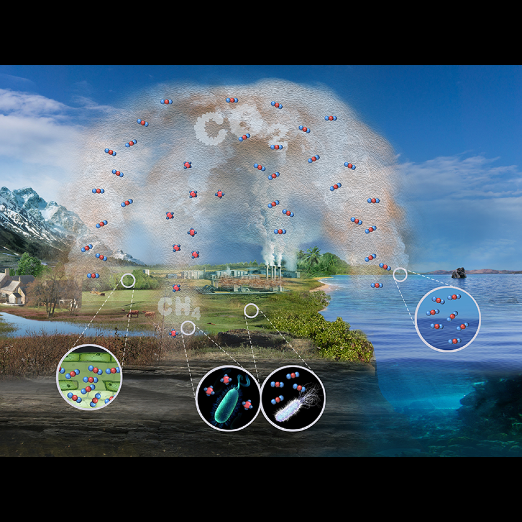 Virtual Lab: Mitigating Carbon Emissions within the Carbon Cycle