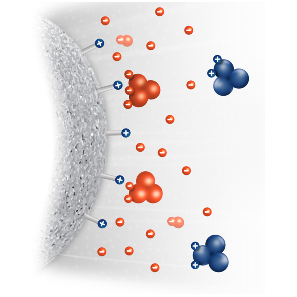 Virtual Lab: Ion Exchange Chromatography