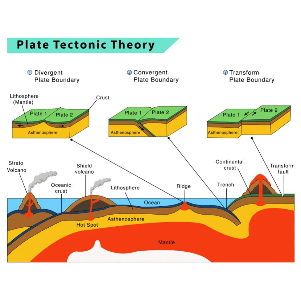 Virtual Lab on Plate Tectonics: Exploring Boundaries and Crustal Characteristics