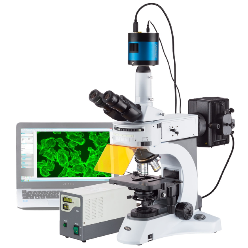 Virtual Lab on Fluorescence Microscopy