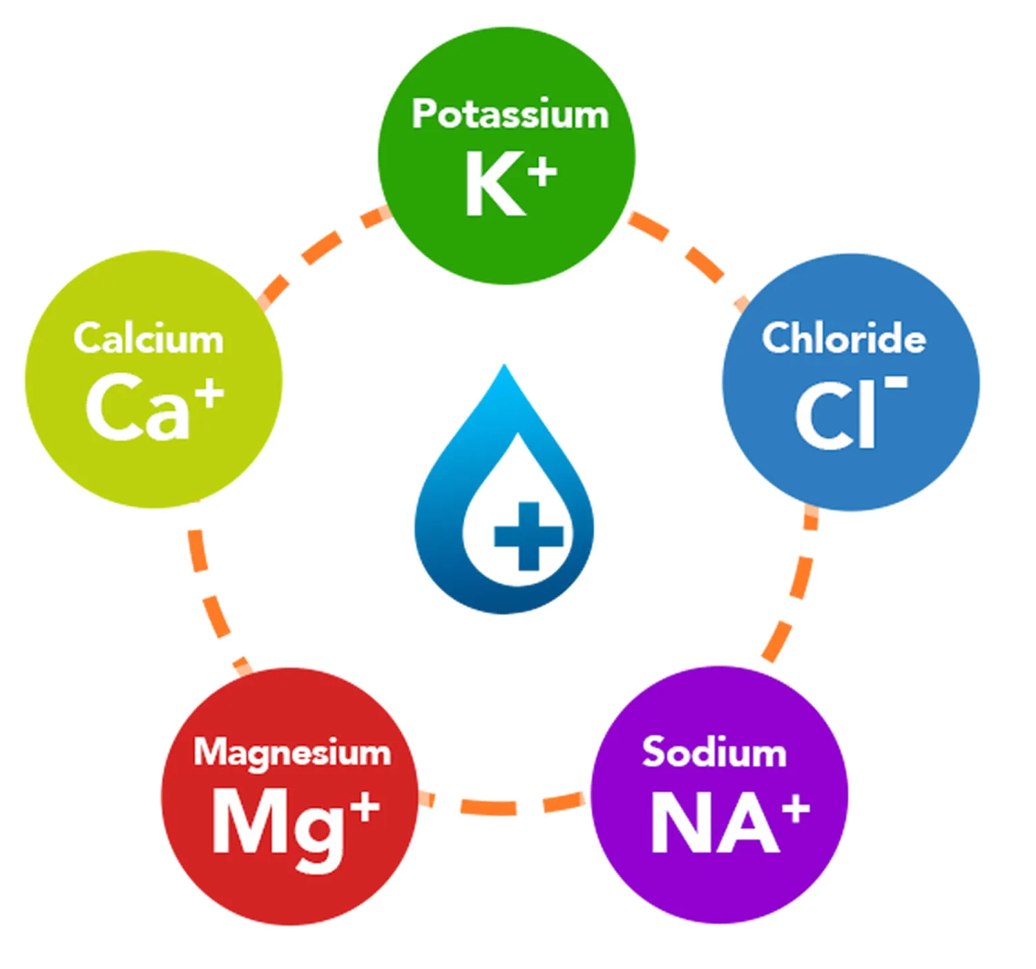 Fluids, Electrolytes, and Acid-Base Balance