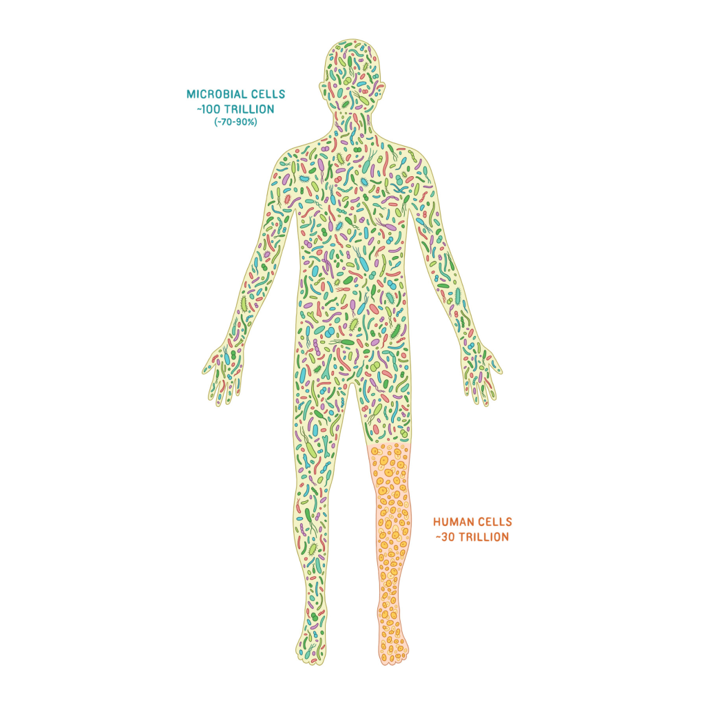 Virtual Laboratory for Epidemic Control through Cell Counting