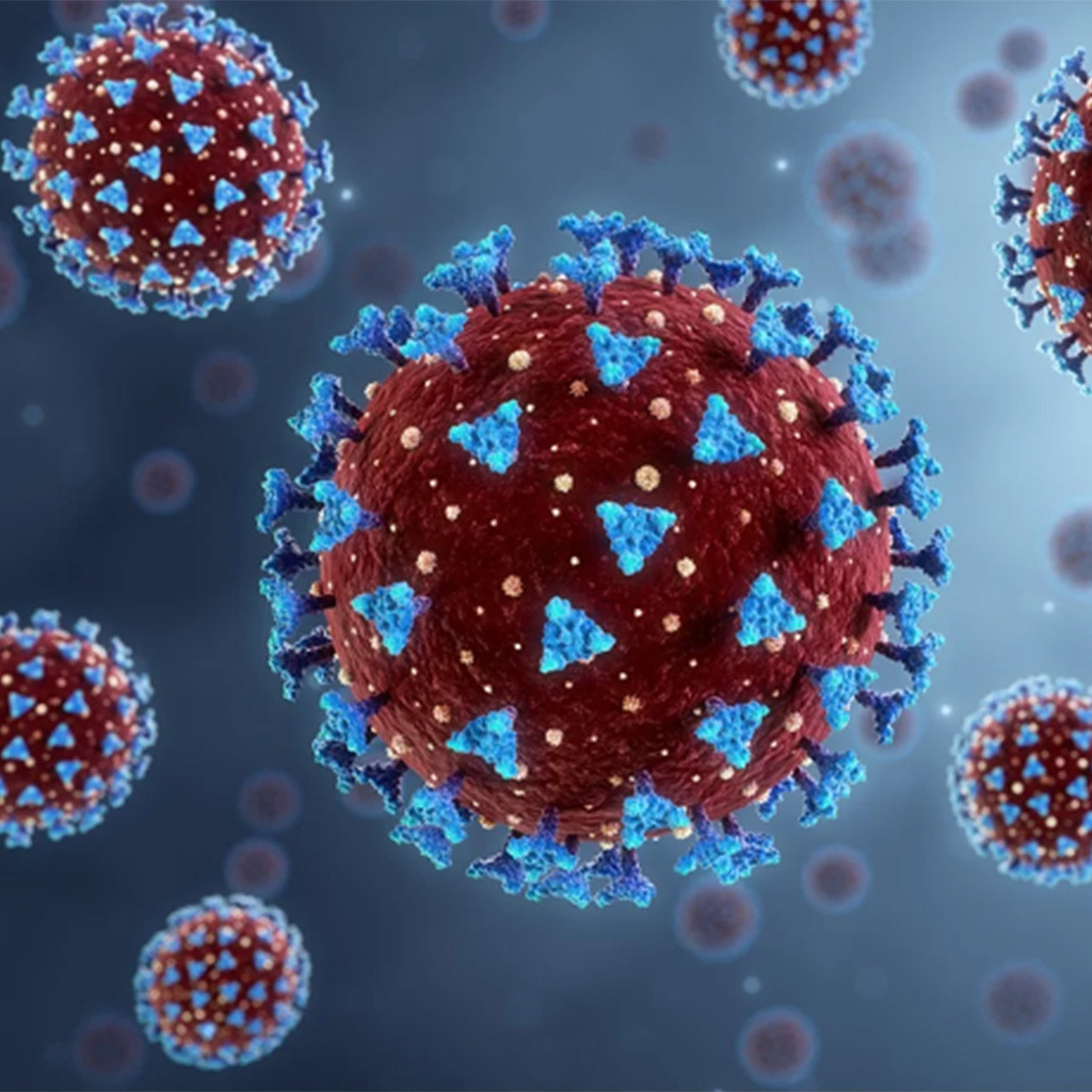 Virtual Lab: Immunoassay for Detecting SARS-CoV-2 Antibodies in Immunology