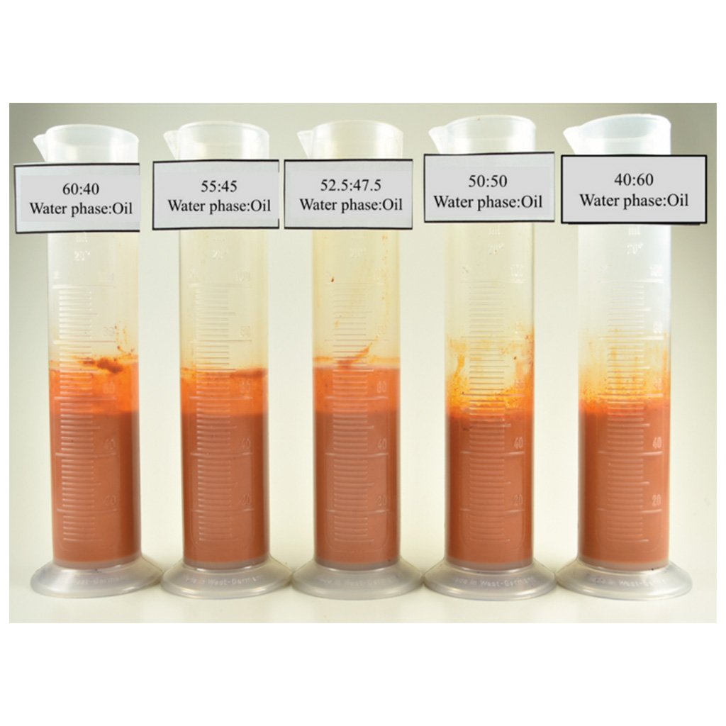 Virtual Lab: Lipid Analysis Using the Sudan IV Test