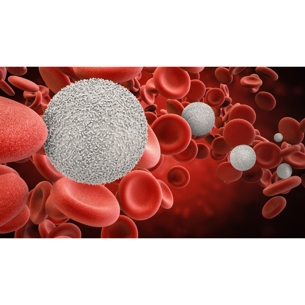 Virtual Lab: Blood Basics in Hematology