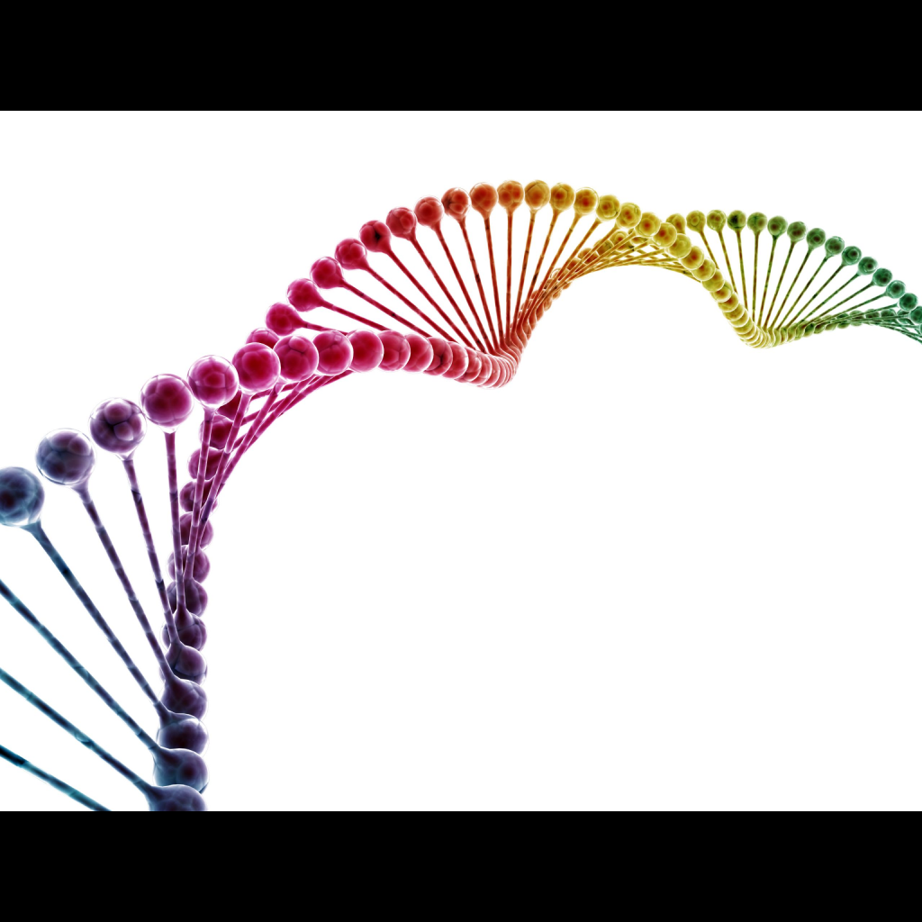 Virtual Lab: Understanding the Inheritance of Color Blindness through Meiosis