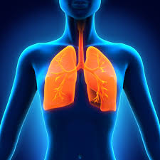 Respiratory System Assessment