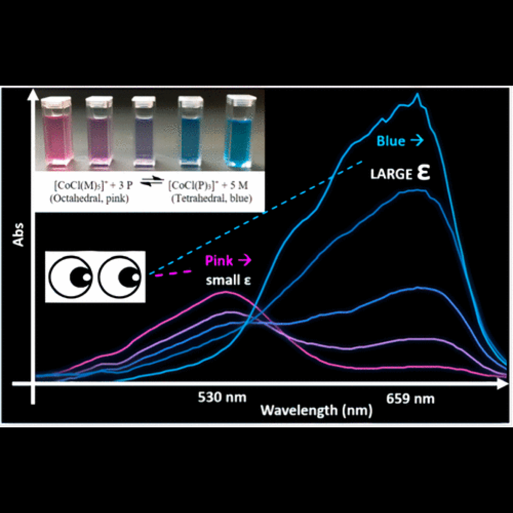 Virtual Lab: Exploring Chemical Equilibrium