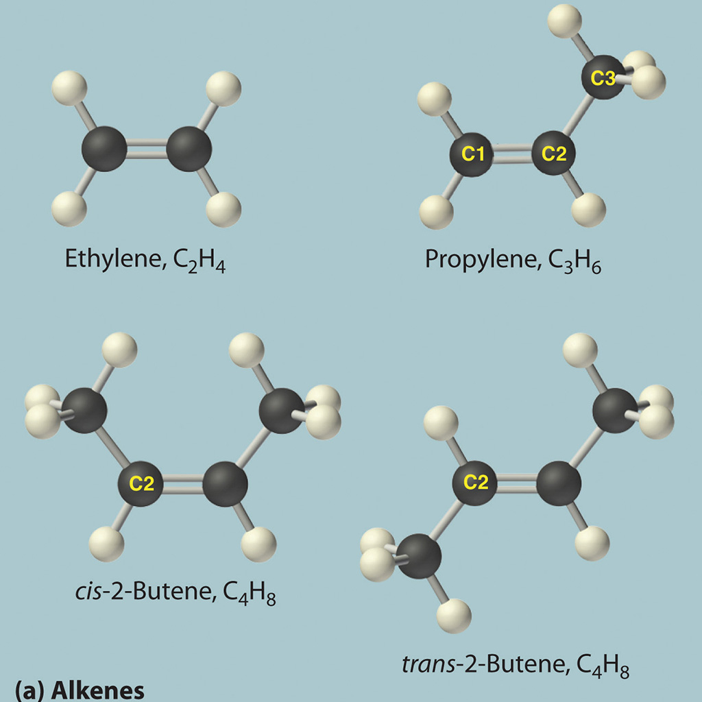 Virtual Lab: Hydrocarbon Naming and Representations