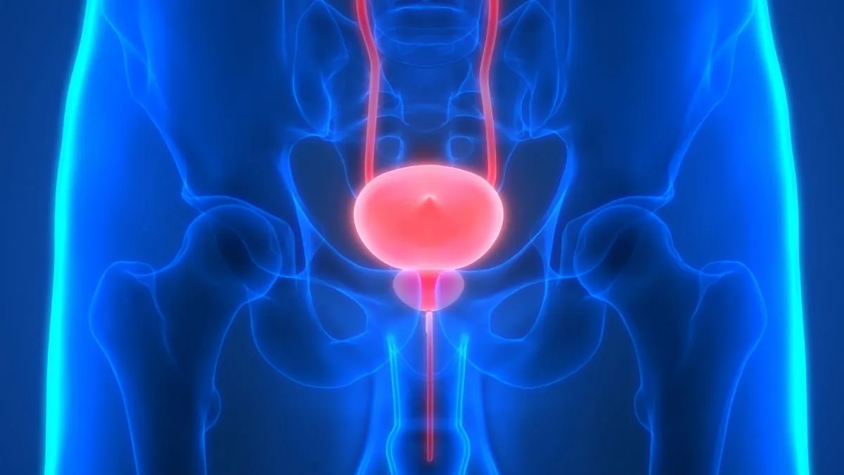 Urinary Elimination: Intermittent Catheterization